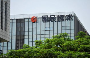 國民技術 主力資金異動背后的計算機軟硬件技術開發賽道深度解析